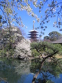[台東区]浅草寺伝法院