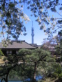 [台東区]浅草寺伝法院