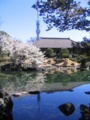 [台東区]浅草寺伝法院