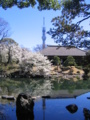 [台東区]浅草寺伝法院