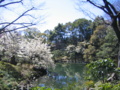 [台東区]浅草寺伝法院