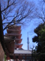 [台東区]浅草寺