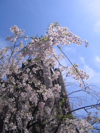 f:id:gustav5:20110417130440j:image f:id:gustav5:20110417130440j:image