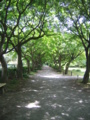 [文京区]小石川
