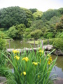 [文京区]小石川