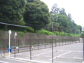 [文京区]暗闇坂