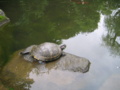 [新宿区]甘泉園