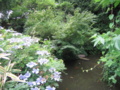 [文京区]関口芭蕉庵
