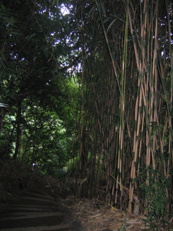 関口芭蕉庵