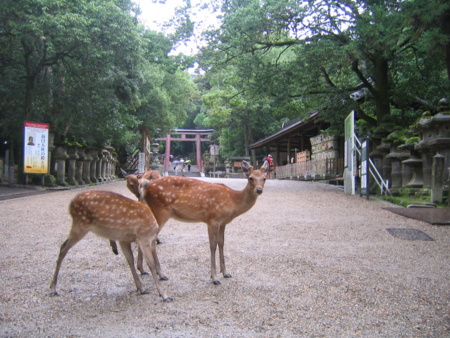 春日大社