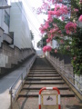 汐見坂（解剖坂）
