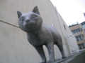 猫の家あと