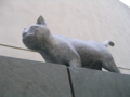 猫の家あと