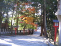 [京都]吉田山