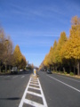 永田町