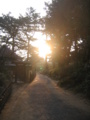 [四国]栗林公園