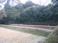 [四国]栗林公園