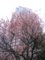 20120318110932