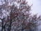 20120318110941
