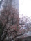 20120318111116