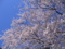 20120407083753