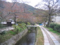 [京都]哲学の道