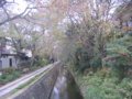 [京都]哲学の道