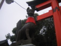 [京都]伏見稲荷