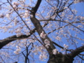 20130324092152