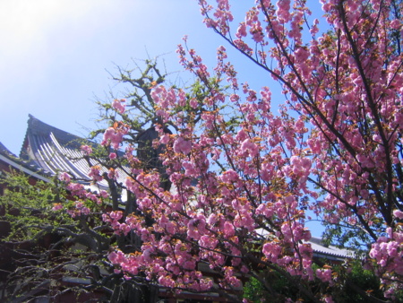 f:id:gustav5:20130407122419j:image