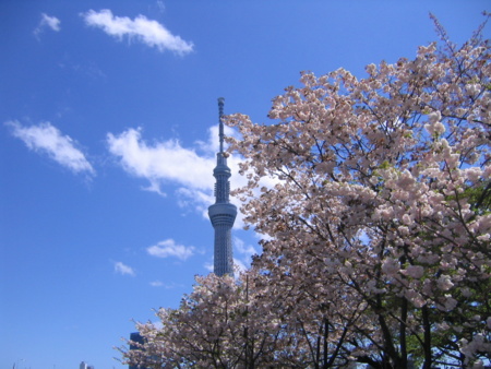 f:id:gustav5:20130407124752j:image