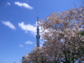 [台東区]隅田公園