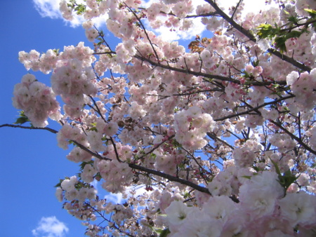 f:id:gustav5:20130407125146j:image