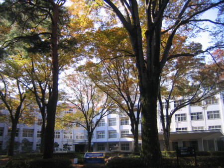 f:id:gustav5:20131117104447j:image
