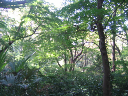 f:id:gustav5:20131117105109j:image