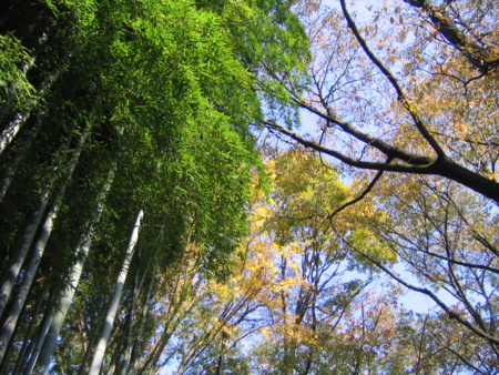 f:id:gustav5:20131117112257j:image