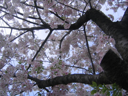 f:id:gustav5:20140405140623j:image f:id:gustav5:20140405140623j:image