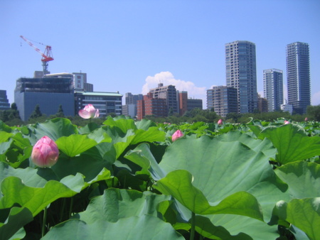不忍池