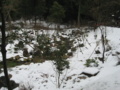20150104112459