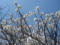 20150221122130
