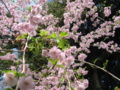 20150404095258