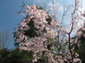 20150404100442