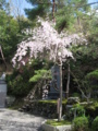 20150404100616