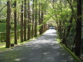 20150404100827