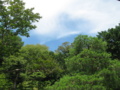 川越喜多院