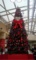 クリスマスツリー