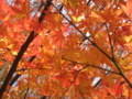 20151212093148