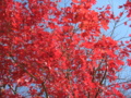 20151212121439