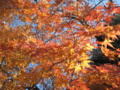 20151212121530