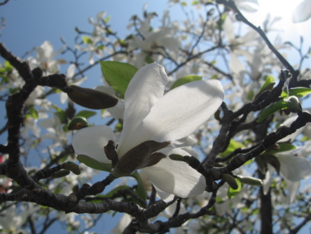 20160320104035
